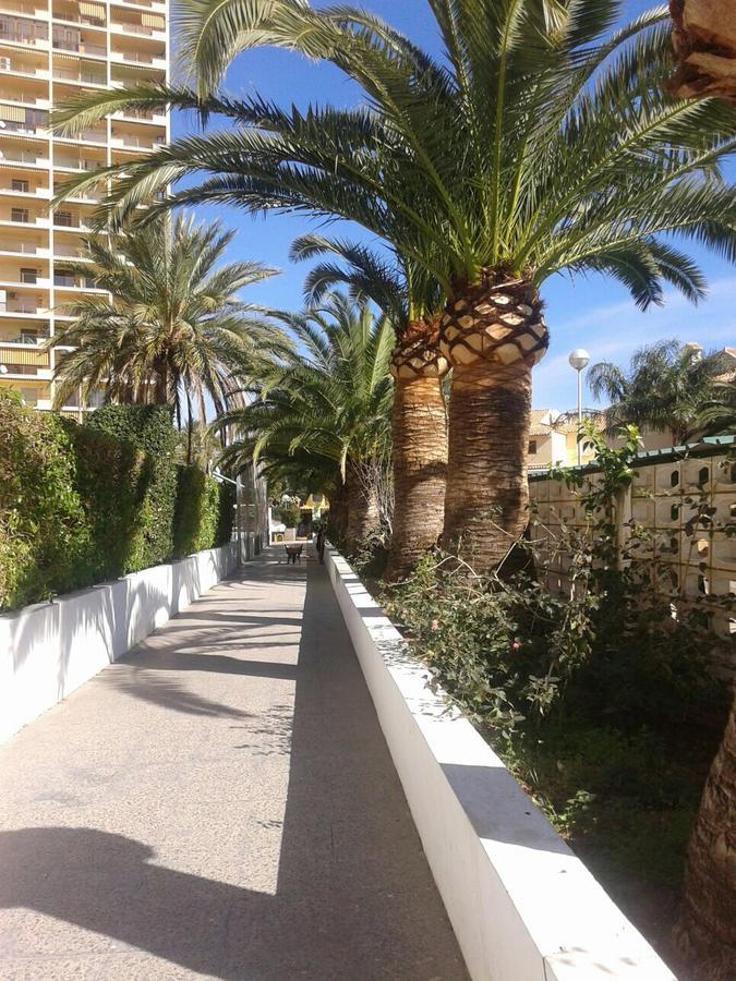 Apartamento Puigval Екстериор снимка